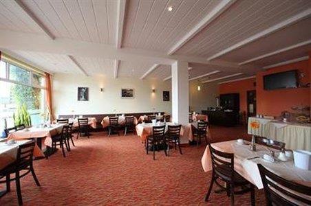Albatros Airport Hotel Mörfelden-Walldorf Restoran fotoğraf